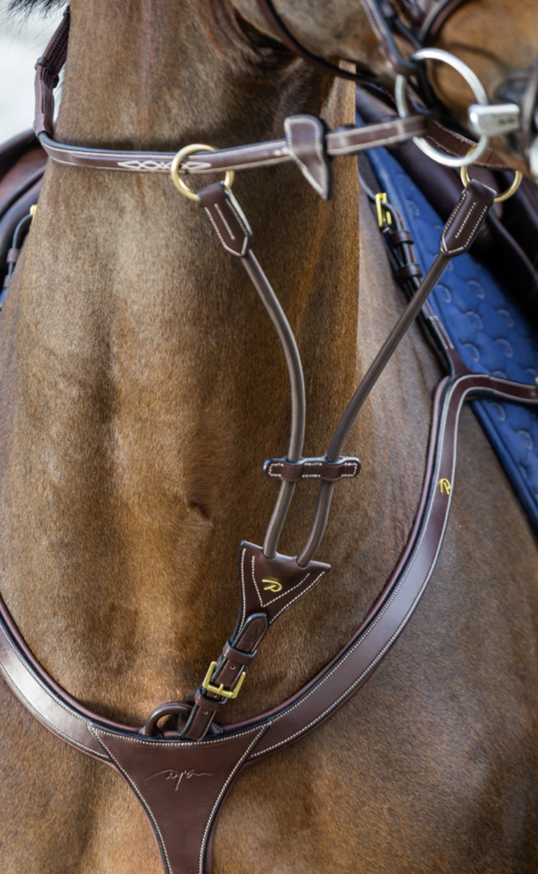 Elastic Running Martingale Attachment D Collection Rider Basics MX