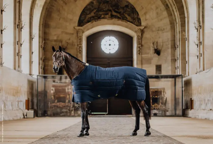STABLE RUG CLASSIC 200G – Rider Basics MX