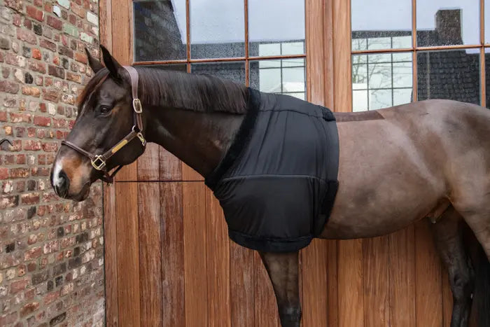 Chest Protection – Rider Basics MX