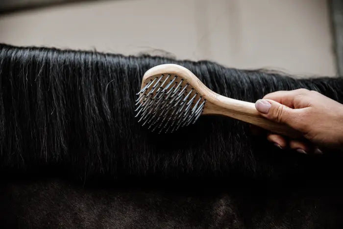 Mane Brush – Rider Basics MX