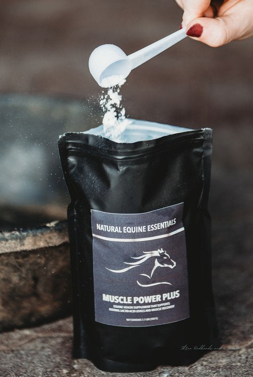 Muscle Power Plus – Rider Basics MX