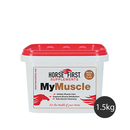 Muscle Rider MY MUSCLE – Rider Basics MX