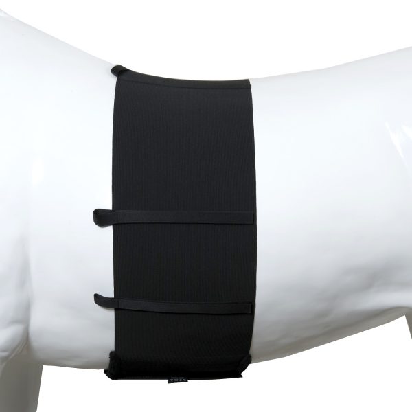 Body bandage Elastic – Rider Basics MX